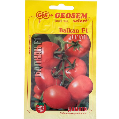 Balkan F1 Tomate